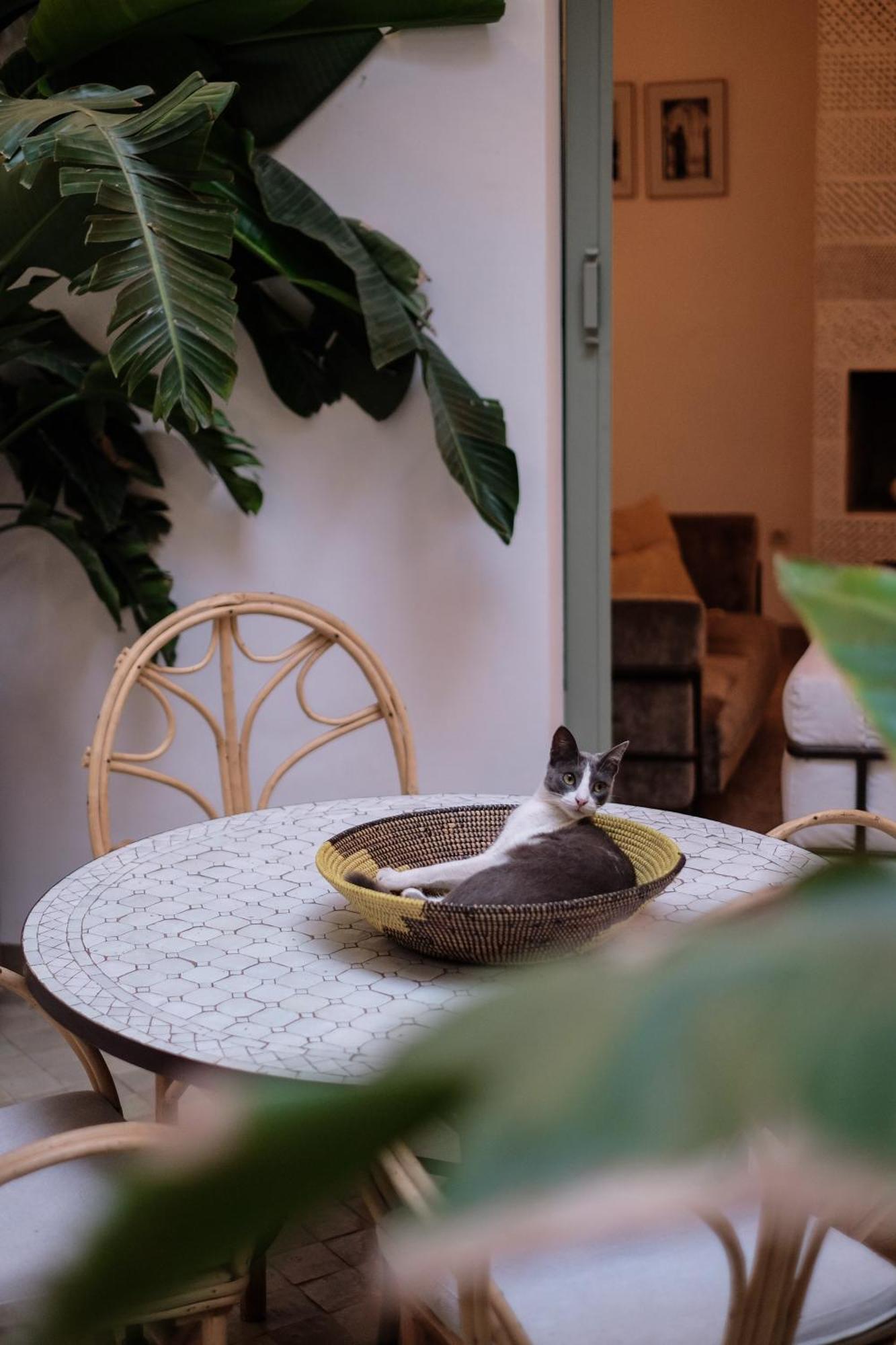 Riad Danka Марракеш Экстерьер фото